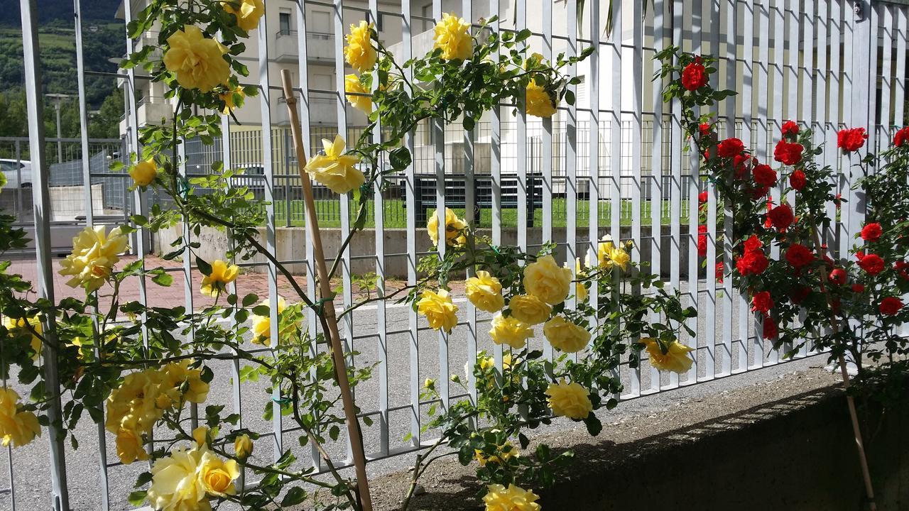 아오스타 La Casa Del Grillo 1 B&B 외부 사진